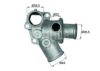 FIAT 46455054 Thermostat, coolant